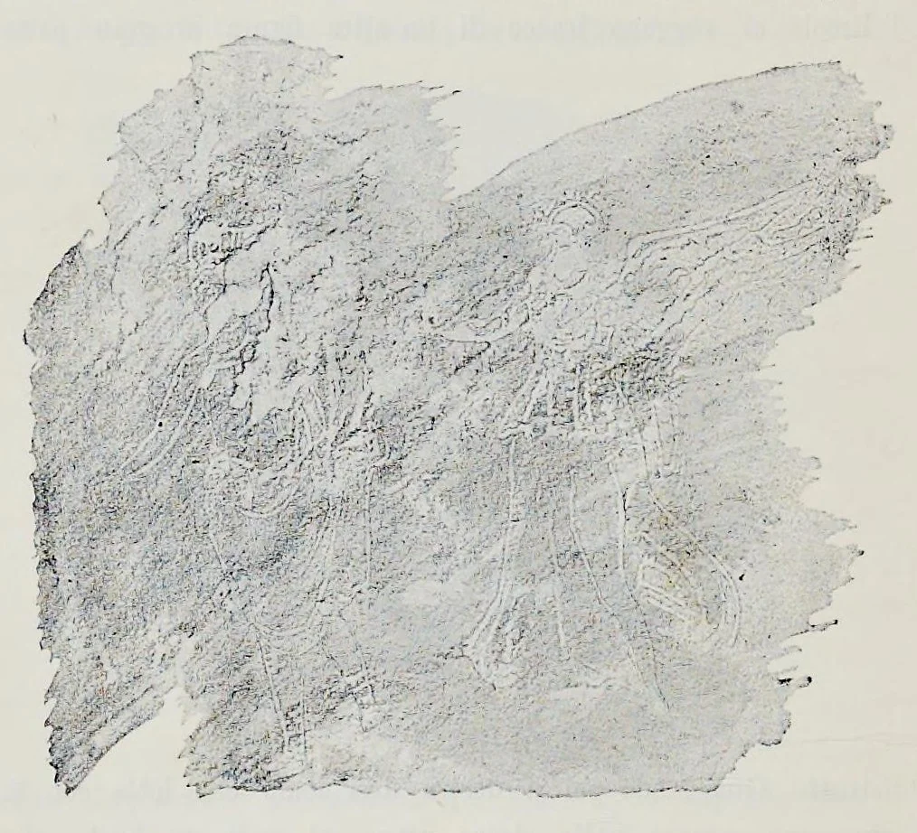An illustration from Nuovo bullettino di archeologia cristiana, 1895, leaf 425