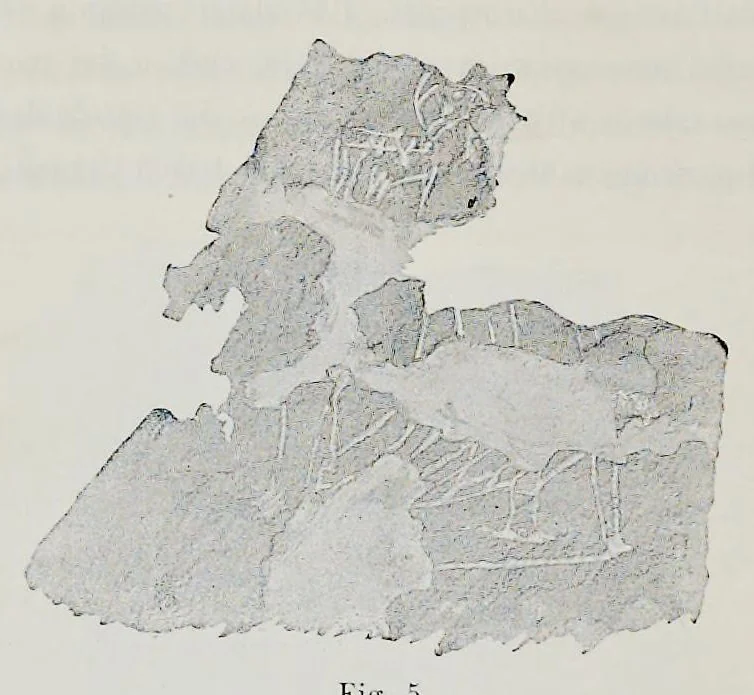 An illustration from Nuovo bullettino di archeologia cristiana, 1895, leaf 427