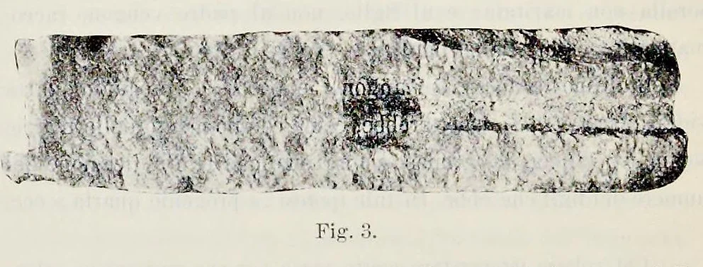 An illustration from Nuovo bullettino di archeologia cristiana, 1895, leaf 57