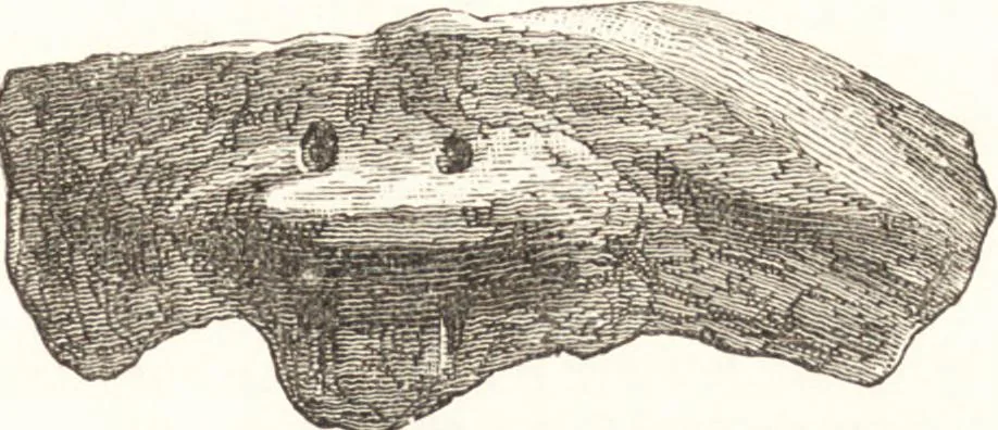 An illustration from Ilios; the city and country of the Trojans. The results of researches and discoveries on the site of Troy and throughout the Troad in the years 1871-72-73-78-79, including an autobiography of the author, 1880, leaf 238