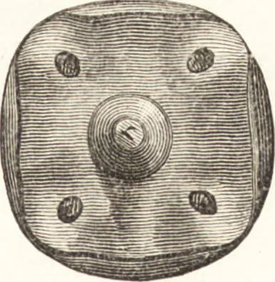 An illustration from Ilios; the city and country of the Trojans. The results of researches and discoveries on the site of Troy and throughout the Troad in the years 1871-72-73-78-79, including an autobiography of the author, 1880, leaf 238