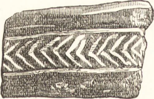 An illustration from Ilios; the city and country of the Trojans. The results of researches and discoveries on the site of Troy and throughout the Troad in the years 1871-72-73-78-79, including an autobiography of the author, 1880, leaf 239