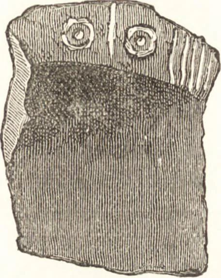 An illustration from Ilios; the city and country of the Trojans. The results of researches and discoveries on the site of Troy and throughout the Troad in the years 1871-72-73-78-79, including an autobiography of the author, 1880, leaf 240
