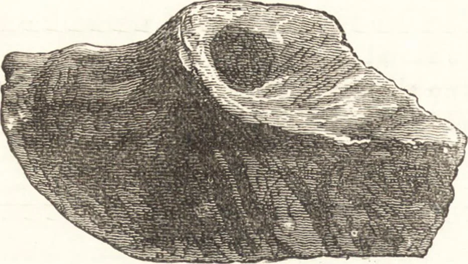 An illustration from Ilios; the city and country of the Trojans. The results of researches and discoveries on the site of Troy and throughout the Troad in the years 1871-72-73-78-79, including an autobiography of the author, 1880, leaf 241