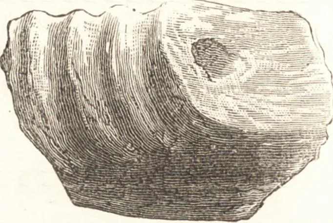An illustration from Ilios; the city and country of the Trojans. The results of researches and discoveries on the site of Troy and throughout the Troad in the years 1871-72-73-78-79, including an autobiography of the author, 1880, leaf 241