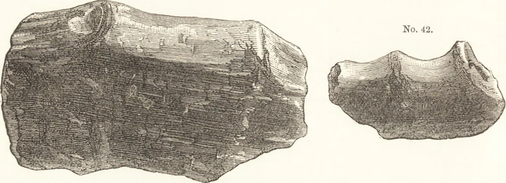 An illustration from Ilios; the city and country of the Trojans. The results of researches and discoveries on the site of Troy and throughout the Troad in the years 1871-72-73-78-79, including an autobiography of the author, 1880, leaf 241