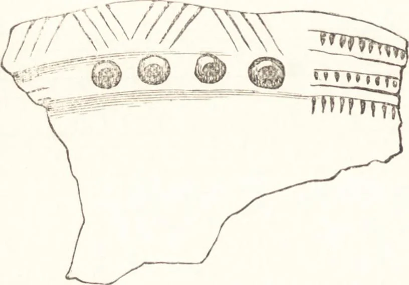 An illustration from Ilios; the city and country of the Trojans. The results of researches and discoveries on the site of Troy and throughout the Troad in the years 1871-72-73-78-79, including an autobiography of the author, 1880, leaf 243