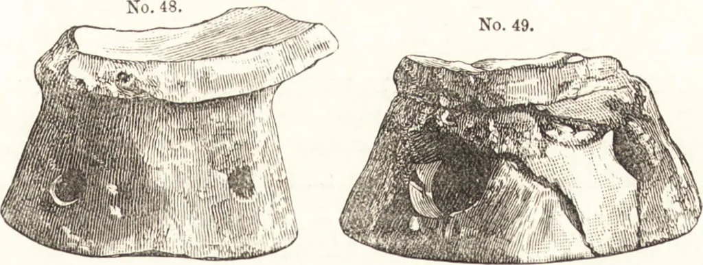 An illustration from Ilios; the city and country of the Trojans. The results of researches and discoveries on the site of Troy and throughout the Troad in the years 1871-72-73-78-79, including an autobiography of the author, 1880, leaf 246