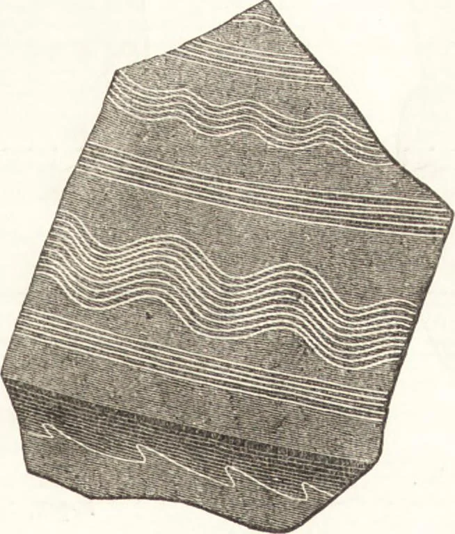 An illustration from Ilios; the city and country of the Trojans. The results of researches and discoveries on the site of Troy and throughout the Troad in the years 1871-72-73-78-79, including an autobiography of the author, 1880, leaf 248