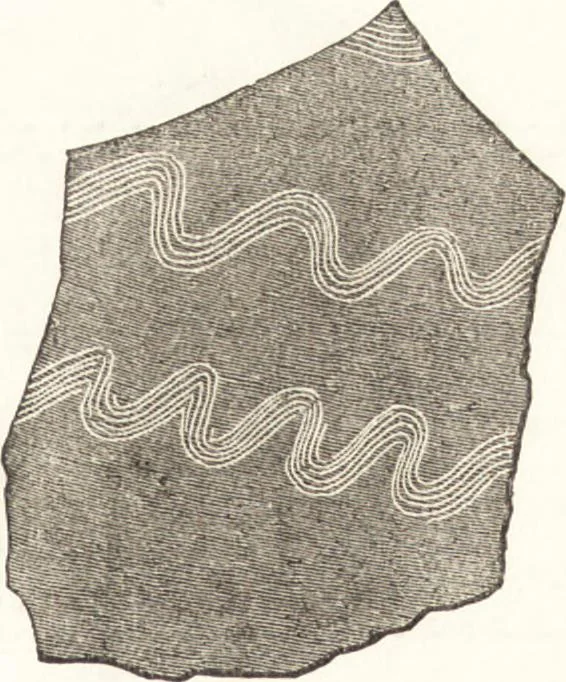 An illustration from Ilios; the city and country of the Trojans. The results of researches and discoveries on the site of Troy and throughout the Troad in the years 1871-72-73-78-79, including an autobiography of the author, 1880, leaf 248