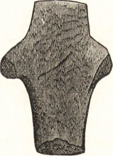 An illustration from Ilios; the city and country of the Trojans. The results of researches and discoveries on the site of Troy and throughout the Troad in the years 1871-72-73-78-79, including an autobiography of the author, 1880, leaf 254