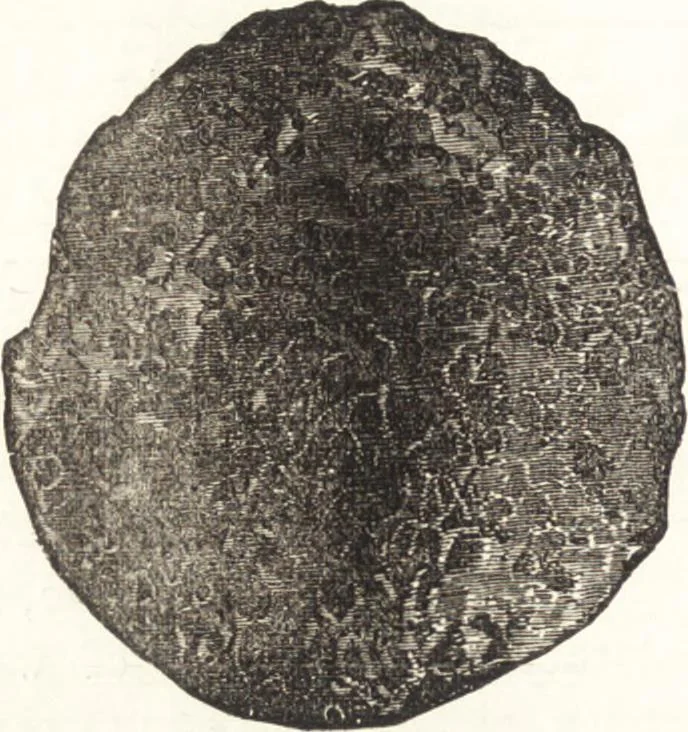 An illustration from Ilios; the city and country of the Trojans. The results of researches and discoveries on the site of Troy and throughout the Troad in the years 1871-72-73-78-79, including an autobiography of the author, 1880, leaf 257
