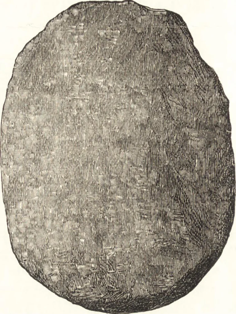 An illustration from Ilios; the city and country of the Trojans. The results of researches and discoveries on the site of Troy and throughout the Troad in the years 1871-72-73-78-79, including an autobiography of the author, 1880, leaf 257