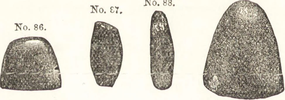 An illustration from Ilios; the city and country of the Trojans. The results of researches and discoveries on the site of Troy and throughout the Troad in the years 1871-72-73-78-79, including an autobiography of the author, 1880, leaf 261