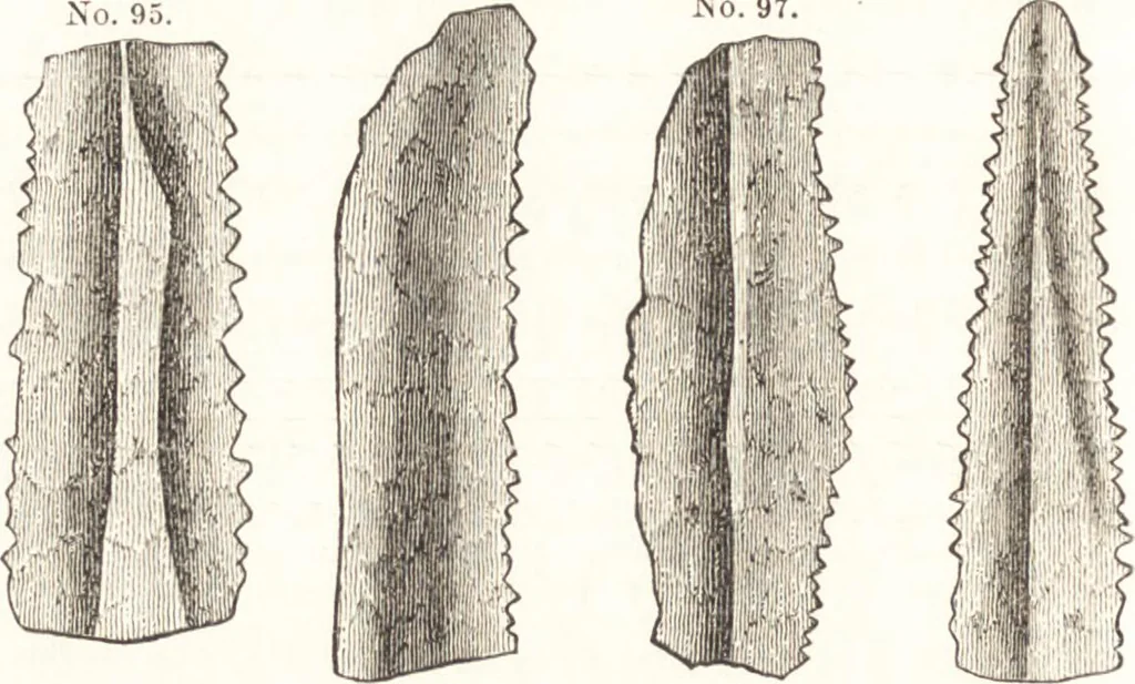 An illustration from Ilios; the city and country of the Trojans. The results of researches and discoveries on the site of Troy and throughout the Troad in the years 1871-72-73-78-79, including an autobiography of the author, 1880, leaf 269
