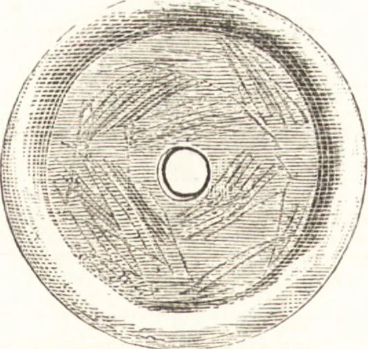 An illustration from Ilios; the city and country of the Trojans. The results of researches and discoveries on the site of Troy and throughout the Troad in the years 1871-72-73-78-79, including an autobiography of the author, 1880, leaf 270