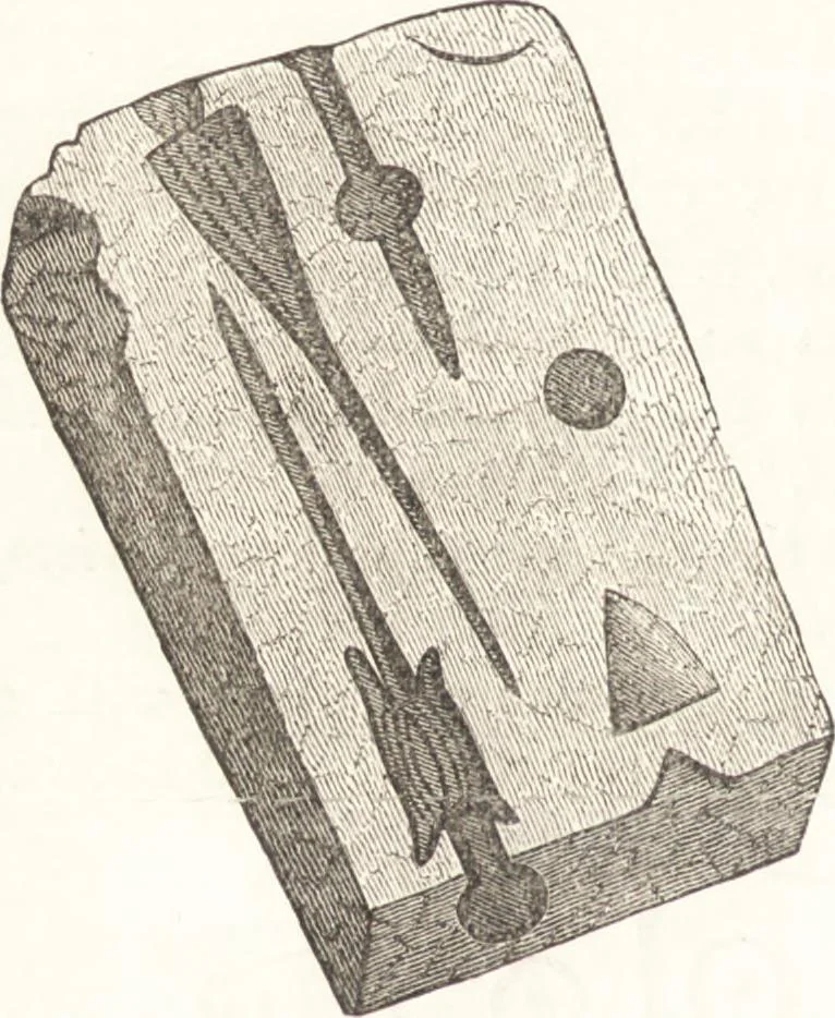 An illustration from Ilios; the city and country of the Trojans. The results of researches and discoveries on the site of Troy and throughout the Troad in the years 1871-72-73-78-79, including an autobiography of the author, 1880, leaf 271