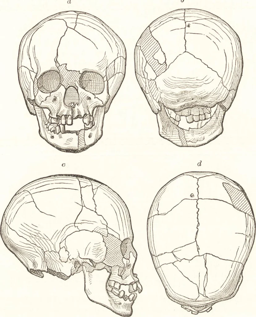 An illustration from Ilios; the city and country of the Trojans. The results of researches and discoveries on the site of Troy and throughout the Troad in the years 1871-72-73-78-79, including an autobiography of the author, 1880, leaf 296