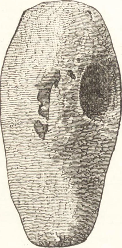 An illustration from Ilios; the city and country of the Trojans. The results of researches and discoveries on the site of Troy and throughout the Troad in the years 1871-72-73-78-79, including an autobiography of the author, 1880, leaf 301