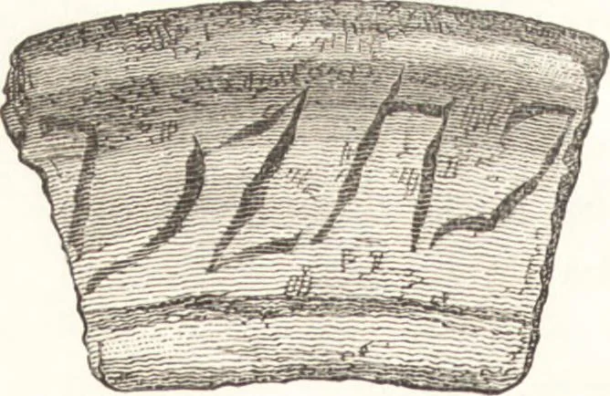 An illustration from Ilios; the city and country of the Trojans. The results of researches and discoveries on the site of Troy and throughout the Troad in the years 1871-72-73-78-79, including an autobiography of the author, 1880, leaf 323