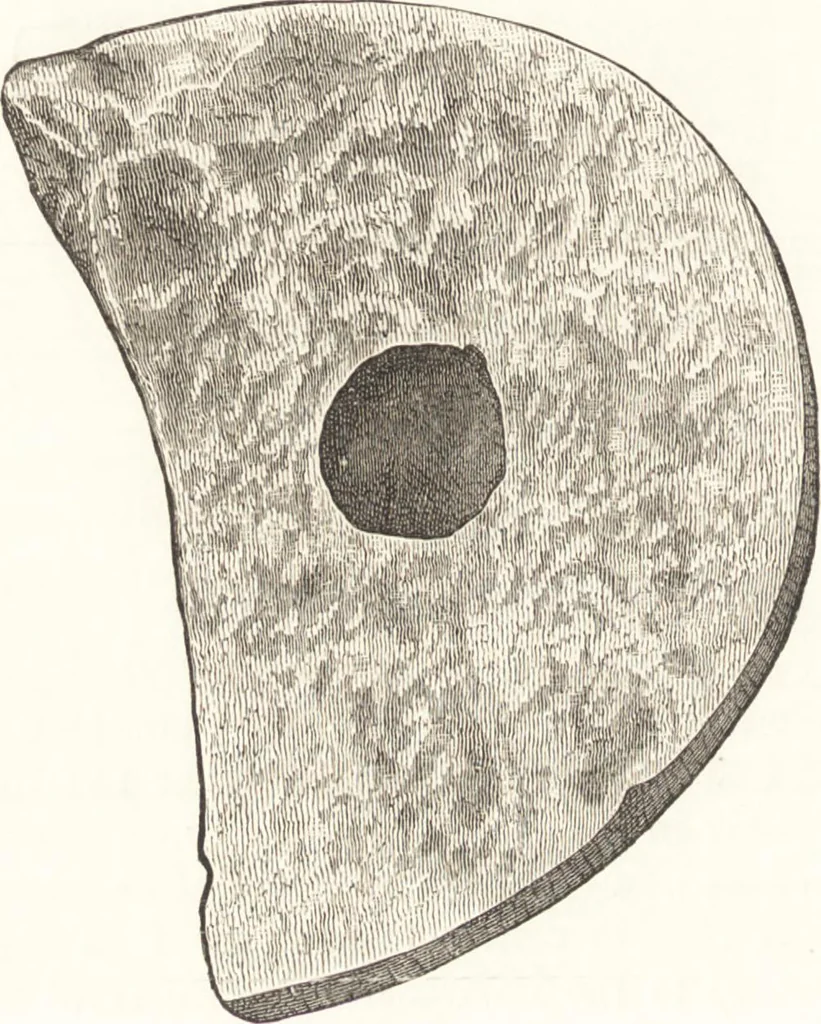 An illustration from Ilios; the city and country of the Trojans. The results of researches and discoveries on the site of Troy and throughout the Troad in the years 1871-72-73-78-79, including an autobiography of the author, 1880, leaf 329
