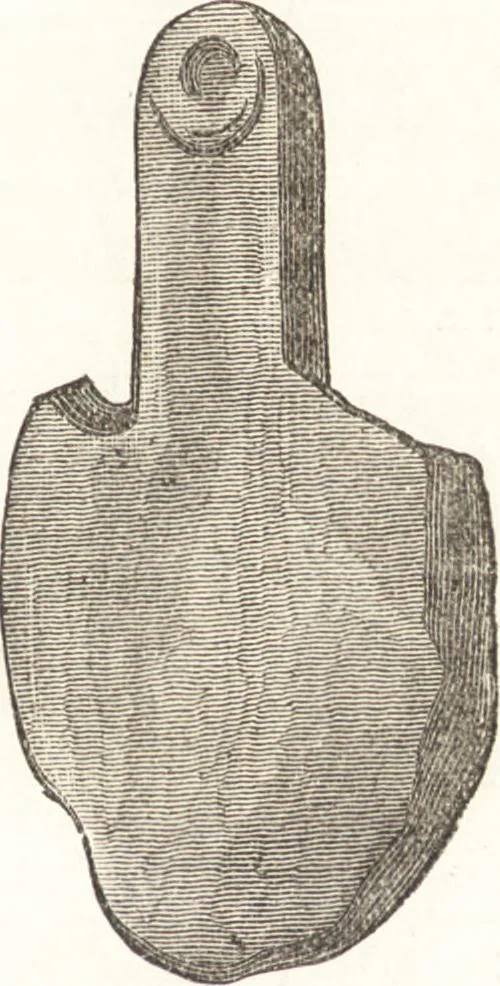 An illustration from Ilios; the city and country of the Trojans. The results of researches and discoveries on the site of Troy and throughout the Troad in the years 1871-72-73-78-79, including an autobiography of the author, 1880, leaf 360