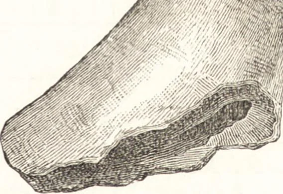 An illustration from Ilios; the city and country of the Trojans. The results of researches and discoveries on the site of Troy and throughout the Troad in the years 1871-72-73-78-79, including an autobiography of the author, 1880, leaf 388