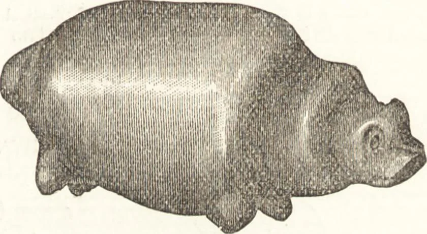 An illustration from Ilios; the city and country of the Trojans. The results of researches and discoveries on the site of Troy and throughout the Troad in the years 1871-72-73-78-79, including an autobiography of the author, 1880, leaf 402