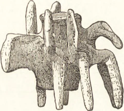 An illustration from Ilios; the city and country of the Trojans. The results of researches and discoveries on the site of Troy and throughout the Troad in the years 1871-72-73-78-79, including an autobiography of the author, 1880, leaf 403