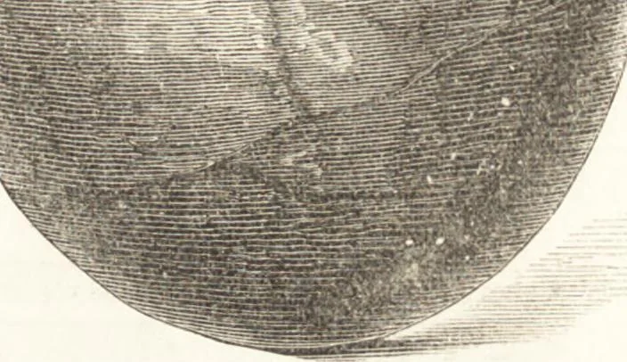 An illustration from Ilios; the city and country of the Trojans. The results of researches and discoveries on the site of Troy and throughout the Troad in the years 1871-72-73-78-79, including an autobiography of the author, 1880, leaf 420