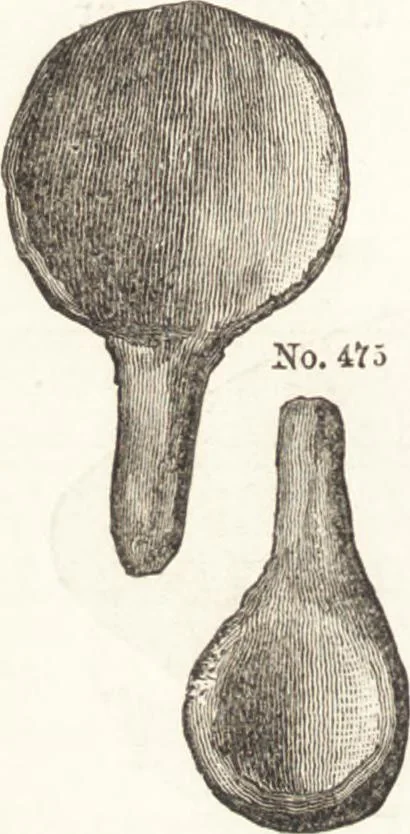 An illustration from Ilios; the city and country of the Trojans. The results of researches and discoveries on the site of Troy and throughout the Troad in the years 1871-72-73-78-79, including an autobiography of the author, 1880, leaf 435