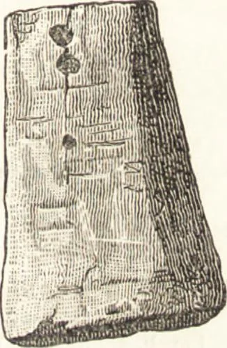An illustration from Ilios; the city and country of the Trojans. The results of researches and discoveries on the site of Troy and throughout the Troad in the years 1871-72-73-78-79, including an autobiography of the author, 1880, leaf 452
