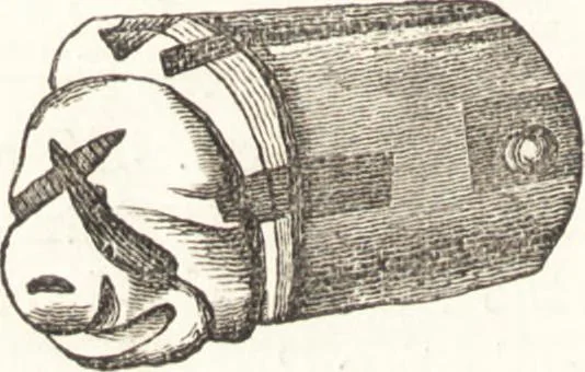 An illustration from Ilios; the city and country of the Trojans. The results of researches and discoveries on the site of Troy and throughout the Troad in the years 1871-72-73-78-79, including an autobiography of the author, 1880, leaf 453