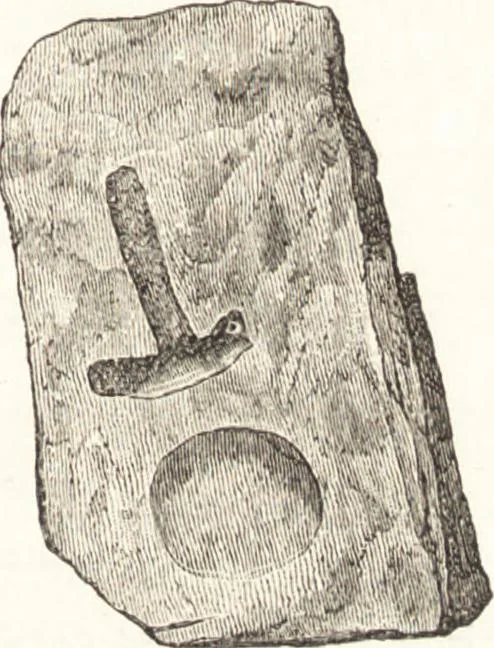 An illustration from Ilios; the city and country of the Trojans. The results of researches and discoveries on the site of Troy and throughout the Troad in the years 1871-72-73-78-79, including an autobiography of the author, 1880, leaf 460