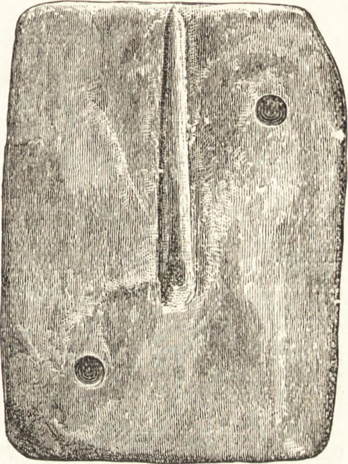 An illustration from Ilios; the city and country of the Trojans. The results of researches and discoveries on the site of Troy and throughout the Troad in the years 1871-72-73-78-79, including an autobiography of the author, 1880, leaf 460
