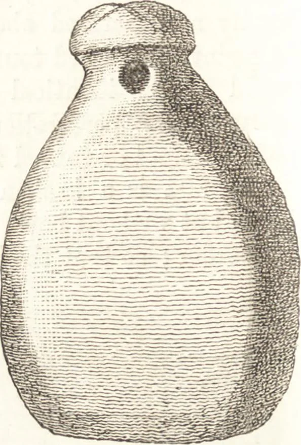 An illustration from Ilios; the city and country of the Trojans. The results of researches and discoveries on the site of Troy and throughout the Troad in the years 1871-72-73-78-79, including an autobiography of the author, 1880, leaf 461