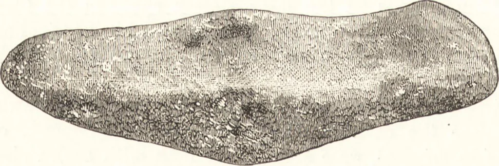 An illustration from Ilios; the city and country of the Trojans. The results of researches and discoveries on the site of Troy and throughout the Troad in the years 1871-72-73-78-79, including an autobiography of the author, 1880, leaf 463