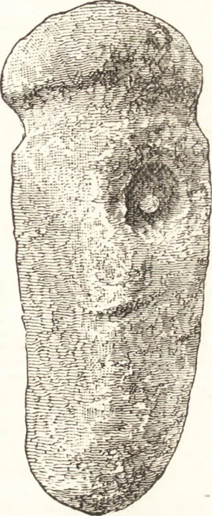 An illustration from Ilios; the city and country of the Trojans. The results of researches and discoveries on the site of Troy and throughout the Troad in the years 1871-72-73-78-79, including an autobiography of the author, 1880, leaf 464