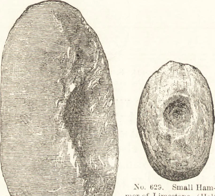 An illustration from Ilios; the city and country of the Trojans. The results of researches and discoveries on the site of Troy and throughout the Troad in the years 1871-72-73-78-79, including an autobiography of the author, 1880, leaf 465