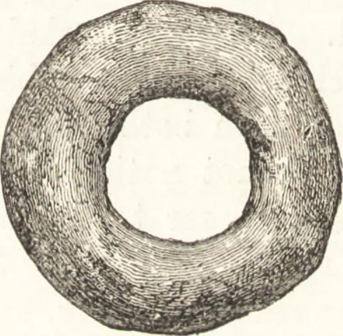 An illustration from Ilios; the city and country of the Trojans. The results of researches and discoveries on the site of Troy and throughout the Troad in the years 1871-72-73-78-79, including an autobiography of the author, 1880, leaf 465