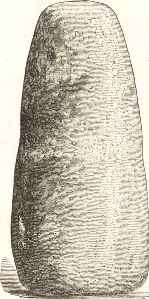 An illustration from Ilios; the city and country of the Trojans. The results of researches and discoveries on the site of Troy and throughout the Troad in the years 1871-72-73-78-79, including an autobiography of the author, 1880, leaf 466
