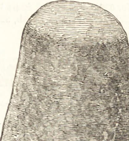 An illustration from Ilios; the city and country of the Trojans. The results of researches and discoveries on the site of Troy and throughout the Troad in the years 1871-72-73-78-79, including an autobiography of the author, 1880, leaf 466