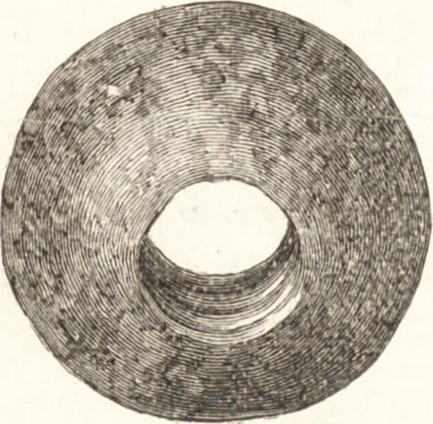 An illustration from Ilios; the city and country of the Trojans. The results of researches and discoveries on the site of Troy and throughout the Troad in the years 1871-72-73-78-79, including an autobiography of the author, 1880, leaf 467