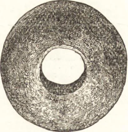An illustration from Ilios; the city and country of the Trojans. The results of researches and discoveries on the site of Troy and throughout the Troad in the years 1871-72-73-78-79, including an autobiography of the author, 1880, leaf 467