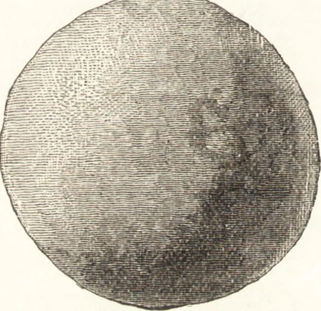 An illustration from Ilios; the city and country of the Trojans. The results of researches and discoveries on the site of Troy and throughout the Troad in the years 1871-72-73-78-79, including an autobiography of the author, 1880, leaf 467