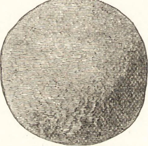 An illustration from Ilios; the city and country of the Trojans. The results of researches and discoveries on the site of Troy and throughout the Troad in the years 1871-72-73-78-79, including an autobiography of the author, 1880, leaf 467