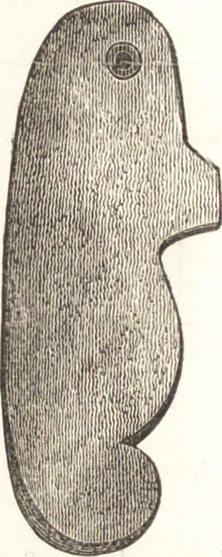 An illustration from Ilios; the city and country of the Trojans. The results of researches and discoveries on the site of Troy and throughout the Troad in the years 1871-72-73-78-79, including an autobiography of the author, 1880, leaf 469