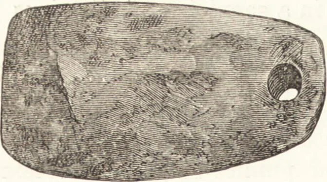 An illustration from Ilios; the city and country of the Trojans. The results of researches and discoveries on the site of Troy and throughout the Troad in the years 1871-72-73-78-79, including an autobiography of the author, 1880, leaf 469