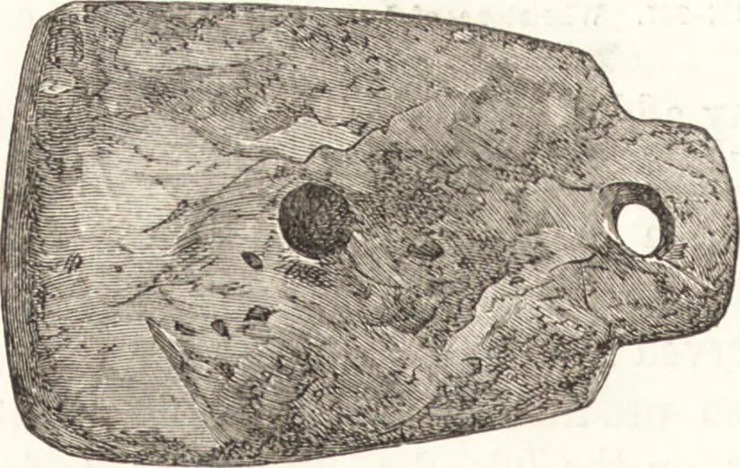 An illustration from Ilios; the city and country of the Trojans. The results of researches and discoveries on the site of Troy and throughout the Troad in the years 1871-72-73-78-79, including an autobiography of the author, 1880, leaf 469