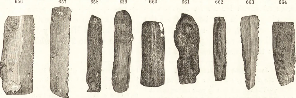 An illustration from Ilios; the city and country of the Trojans. The results of researches and discoveries on the site of Troy and throughout the Troad in the years 1871-72-73-78-79, including an autobiography of the author, 1880, leaf 470